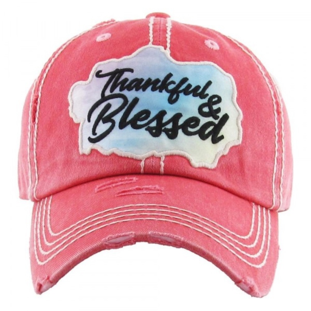 Distressed Embroidered Baseball Cap